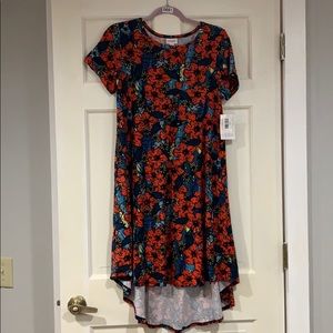 LuLaRoe multi-colored floral Carly dress XS NWT